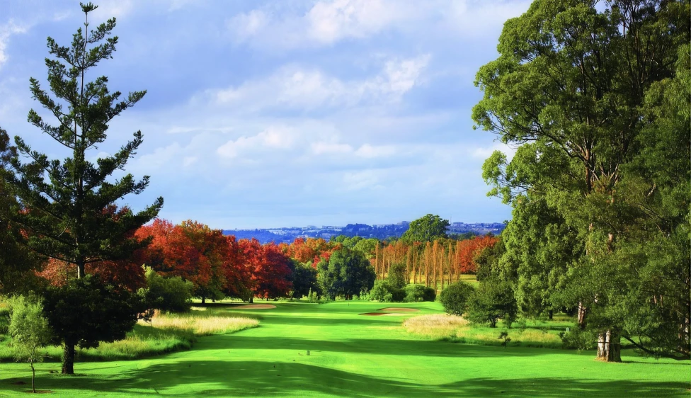 Royal Johannesburg Country Club Calle del Royal Johannesburg Country Club rodeada de árboles coloridos y vegetación frondosa.