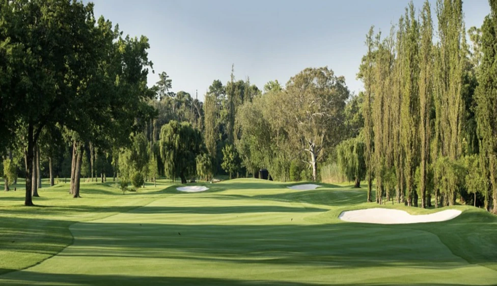 Royal Johannesburg Country Club Calle del Royal Johannesburg Country Club rodeada de árboles altos y búnkeres de arena.